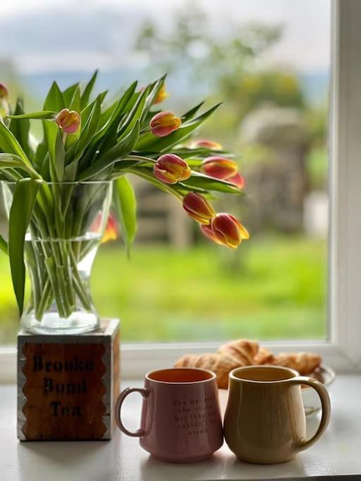 Cosy Country House In Deeside Finzean Værelse billede